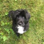 Profile picture of Marc E. Elias